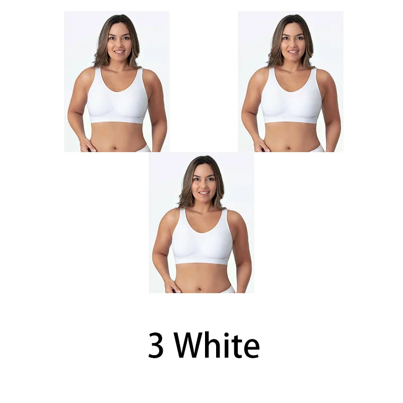 47730865864984|47730865897752|47730865930520|47730865963288|47730865996056|47730866028824